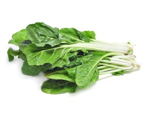Acelga