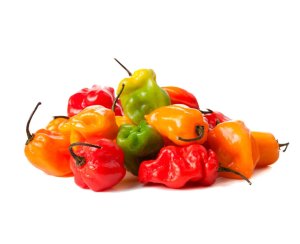 Chile Panameño