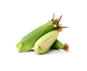 Elote blanco