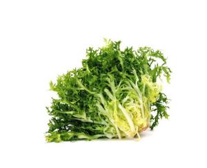 Lechuga escarola