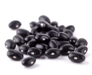 Frijol negro