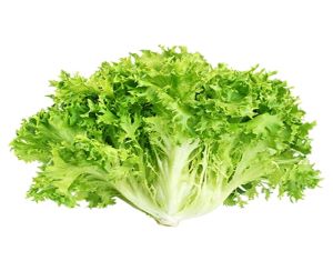 Lechuga frisee