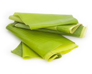 Hoja de tamal