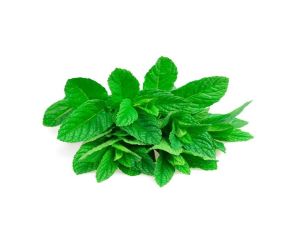 Menta