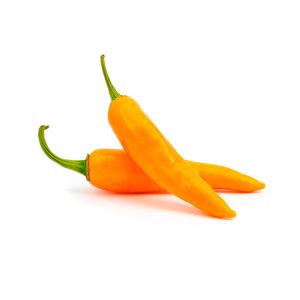 CHILE AJI