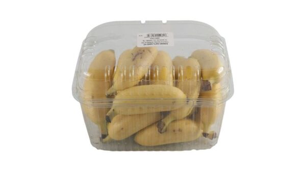 Banano Datil