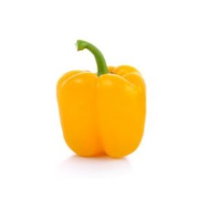 Chile Mundial Amarillo